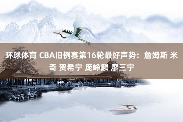 环球体育 CBA旧例赛第16轮最好声势：詹姆斯 米奇 贺希宁 庞峥麟 廖三宁