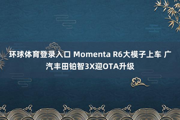 环球体育登录入口 Momenta R6大模子上车 广汽丰田铂智3X迎OTA升级