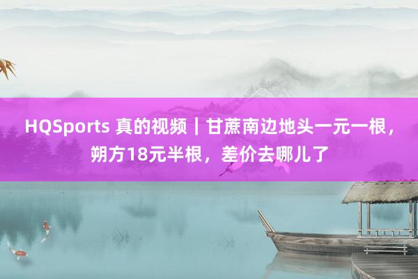 HQSports 真的视频｜甘蔗南边地头一元一根，朔方18元半根，差价去哪儿了