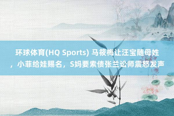 环球体育(HQ Sports) 马筱梅让汪宝随母姓，小菲给娃赐名，S妈要索债张兰讼师震怒发声
