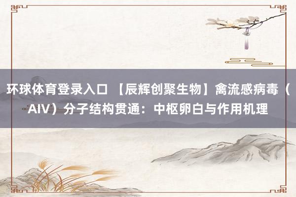 环球体育登录入口 【辰辉创聚生物】禽流感病毒（AIV）分子结构贯通：中枢卵白与作用机理