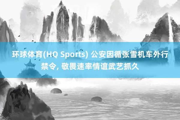 环球体育(HQ Sports) 公安因循张雪机车外行禁令, 敬畏速率情谊武艺抓久