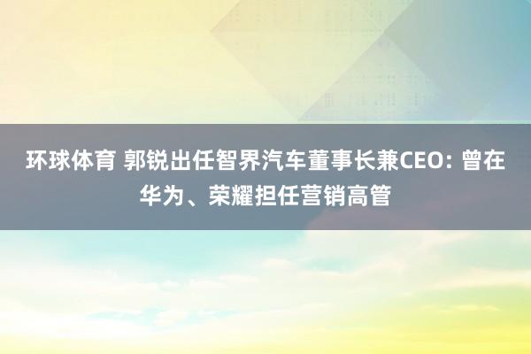 环球体育 郭锐出任智界汽车董事长兼CEO: 曾在华为、荣耀担任营销高管